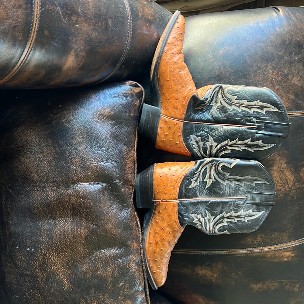 Dan Post Ostrich Western Boots